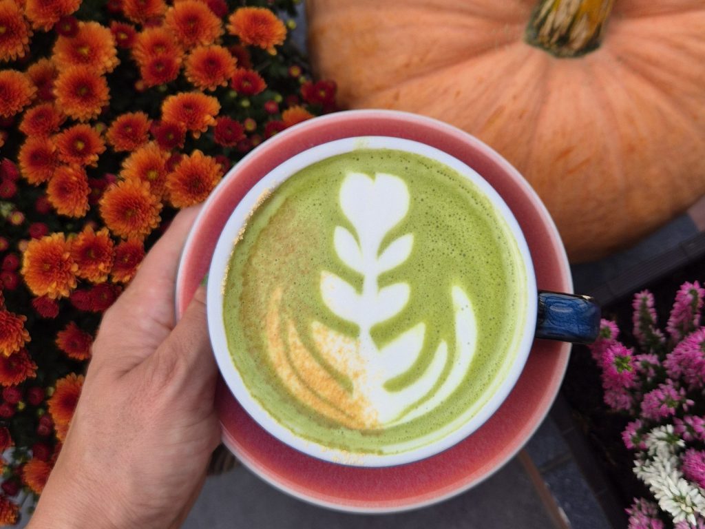 matcha latte z jesiennej karty Colbergcoffee wśród chryzantem i dyni