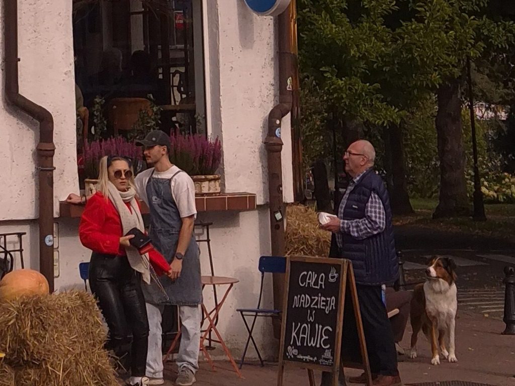 pies przy wejściu do kawiarni Colbergcoffee w Kołobrzegu, kawiarnia przyjazna psom